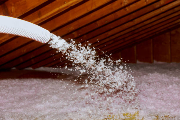 Best Cellulose Insulation in Grand Terrace, CA